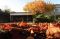 Herbstferien 2025